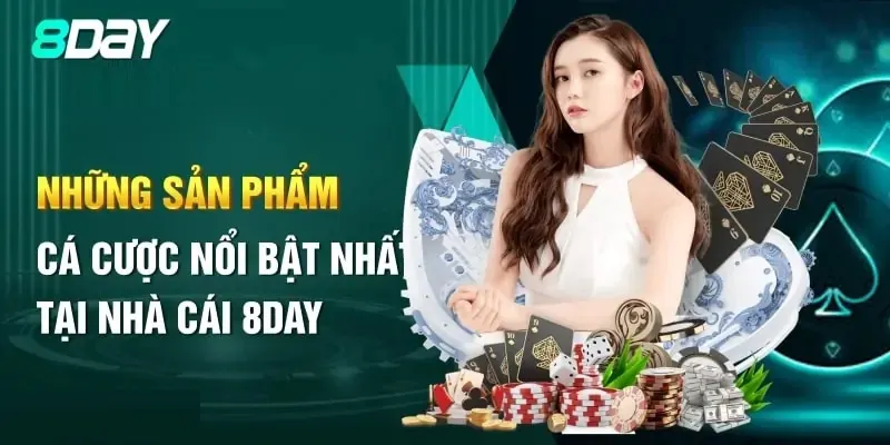 Các sản phẩm dịch vụ 8Day cung cấp